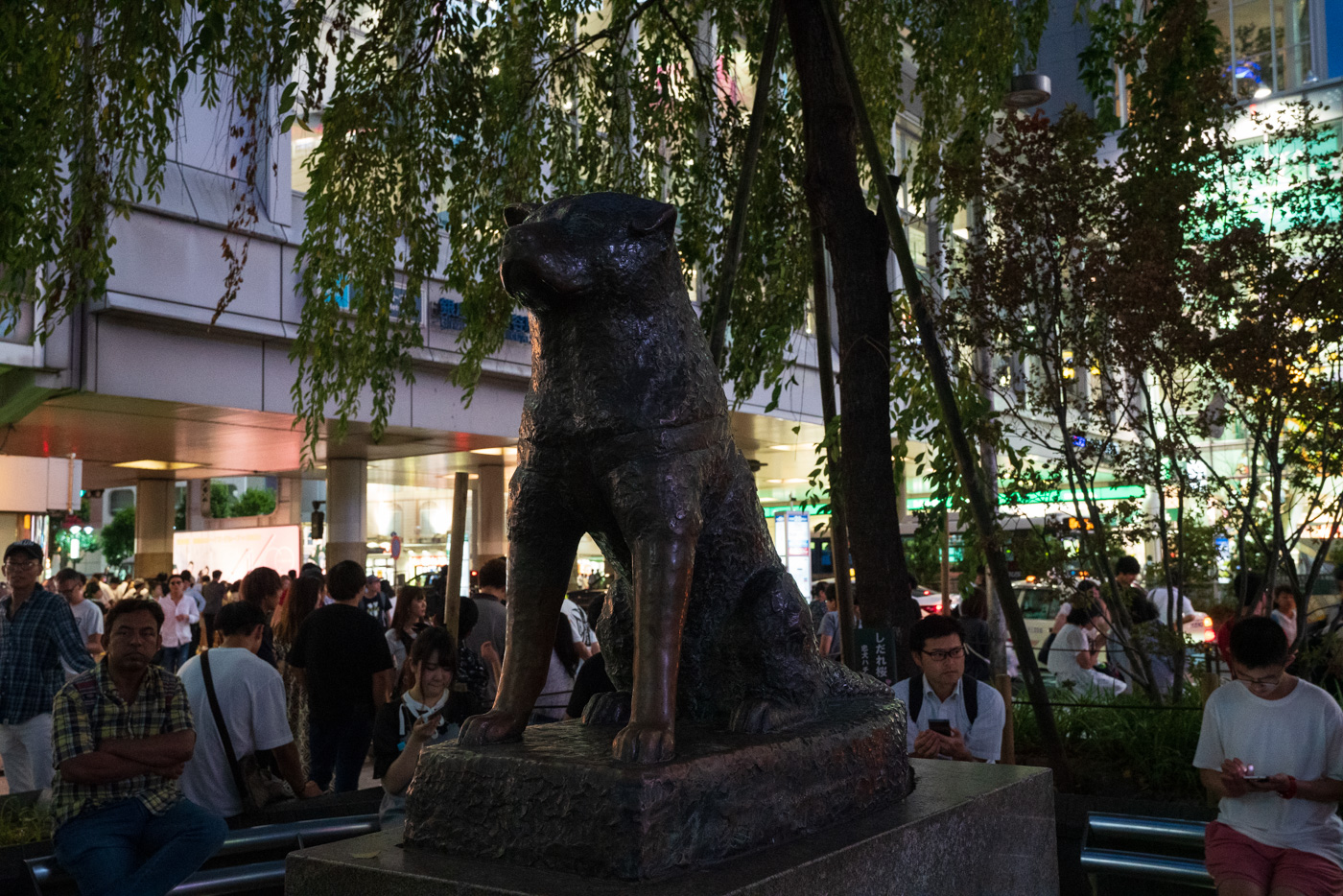 Hachiko