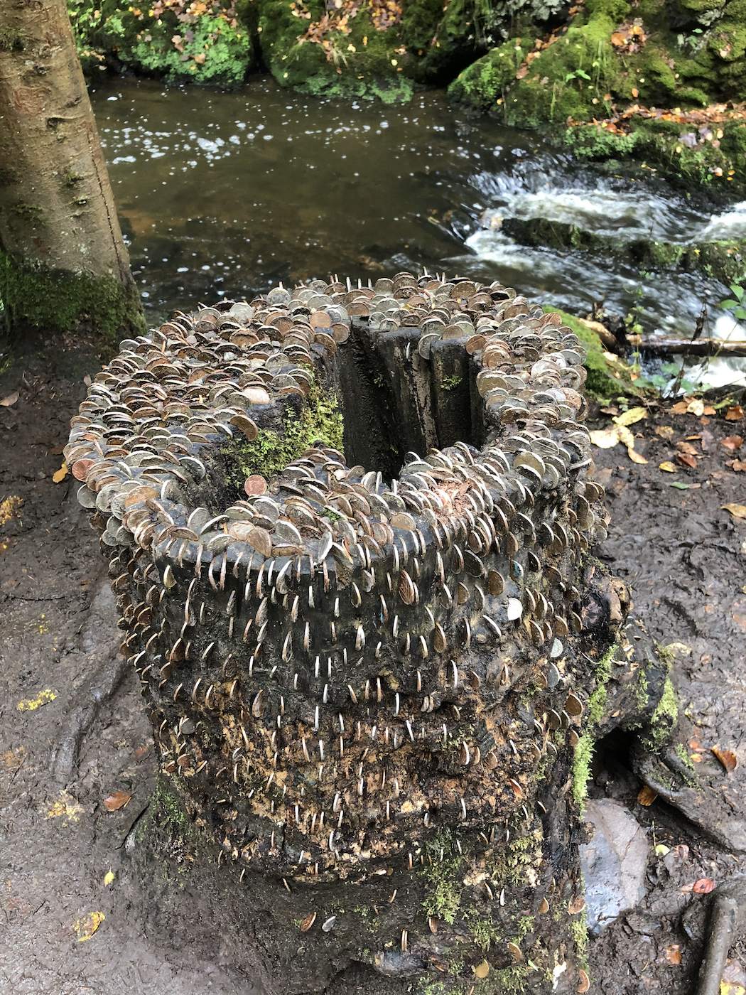 Fairy Glen Inverness
